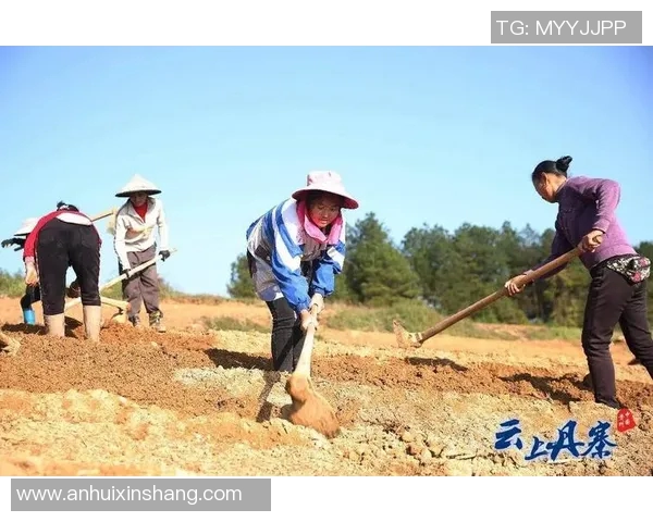 农事足球：在田间地头踢出乡村振兴的新希望与活力