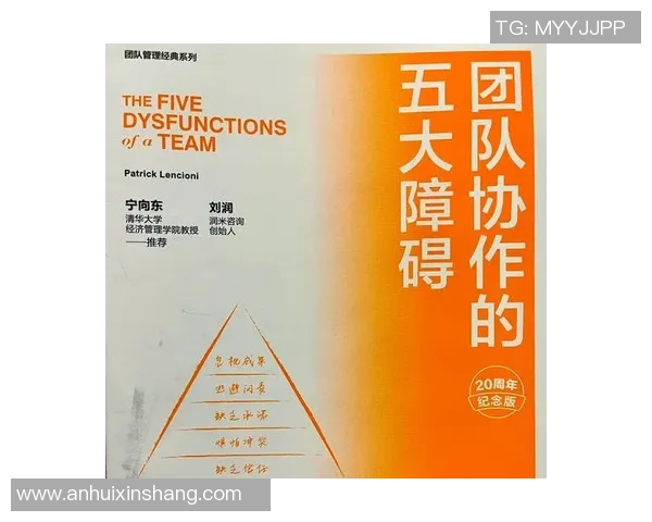 北京排球队的团队协作之道：如何实现默契配合与战术协同