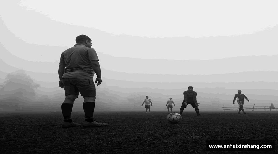 伟德官方网站用汗水浇灌梦想的花朵！